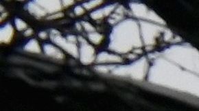 Según el Sistema Meteorológico Nacional, esta podría ser peor tormenta de nieve en cinco años.