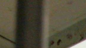 Dado el azote de la pandemia, la libertad condicional podría salvar muchas vidas.