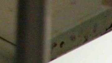 Dado el azote de la pandemia, la libertad condicional podría salvar muchas vidas.