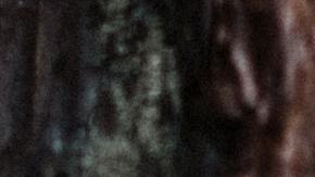 pexels-elizaveta-dushechkina-3727149