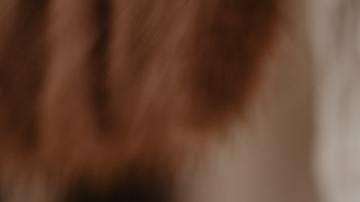 La mujer incluso, interrumpió su embarazo por temor a que su bebé estuviera contagiado.