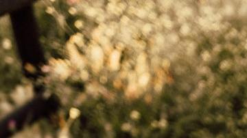 La madre ni siquiera había registrado a la niña.