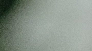 Elon Musk recomendó el uso de la aplicación de mensajería Signal en lugar de WhatsApp