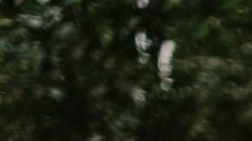 Los padres no permitirían semejante humillación para su hija.