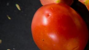 Proteínas