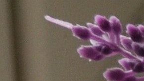 Facebook elimina el botón de “me gusta” de páginas públicas