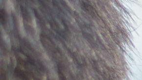 El reportero lleva ya varios meses cubriendo el día a día de la pandemia en la calle.