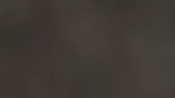 El animal no resistió las bajas temperaturas.