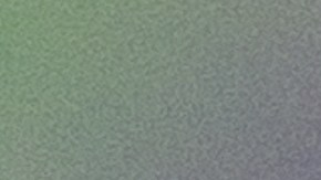 Una muestra de cómo los animales pueden ser empáticos con sus dueños.