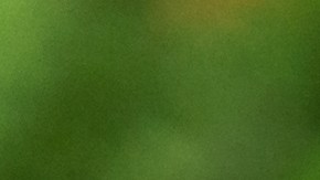 La hija se percató que su madre tenía múltiples golpes, por lo que puso una cámara escondida en su casa.