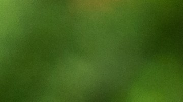 La hija se percató que su madre tenía múltiples golpes, por lo que puso una cámara escondida en su casa.