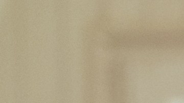 Gulliver perdió su trabajo como en una peluquería y comenzó a vender productos de limpieza para los dientes.