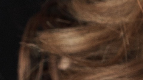 shutterstock_237203878