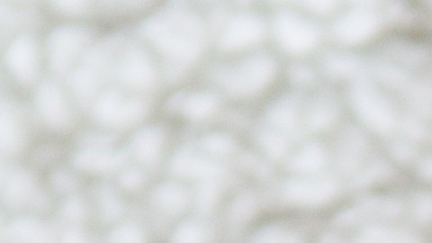 Aunque parece imposible, algo puede ocurrir en la fecundación.