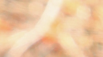 Simplemente espectacular.