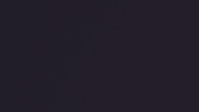 shutterstock_769507753