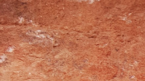 Hay dos manos pintadas sobre el cerdo.