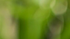 Jugo de caña de azúcar