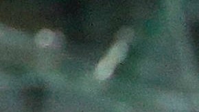 Zlatan Ibrahimovic sufre insutos racistas