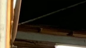 Severino Burgos, de 93 años, fue hasta el Fort Washington Armory, en Washington Heights a vacunarse junto a su hijo Faustino Burgos