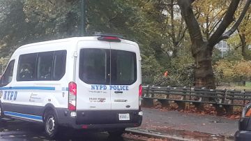 NYPD en Central Park.