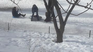 Diversión tras nevada en Central Park, NYC
