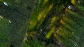 Los hechos ocurrieron en Sunrise.