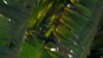 Los hechos ocurrieron en Sunrise.