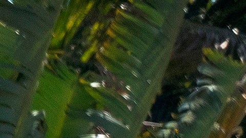 Los hechos ocurrieron en Sunrise.