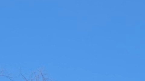 Genaro Tavárez está listo para vacunarse este 5 de febrero en el Estadio de los Yankees