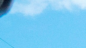 El sospechoso disparó con un rifle.