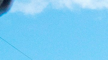 El sospechoso disparó con un rifle.