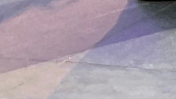 Restaurantes en la Ciudad de Nueva York abrirán servicio interior desde el viernes 12 de febrer