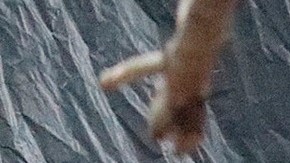 Migrantes asilo Mexico