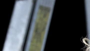 Frida Sofía da entrevista y dice que ella no sufre del Trastorno Límite de Personalidad que asegura Alejandra Guzmán.