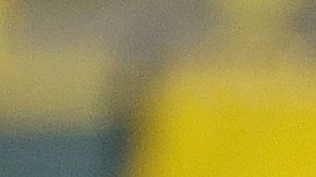 Aaron Rodgers es MVP por tercera ocasión.