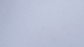 El capitolio rodeado de vayas