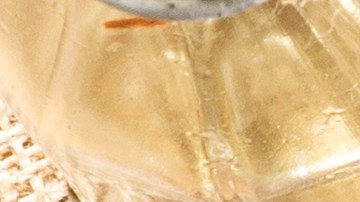 El gluten está presente en una gran cantidad de alimentos, como pan, pastas, galletas, entre otros. Las personas celíacas presentan una intolerancia a dicha proteína.