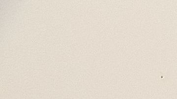 La doctora Diana Canto-Sims, fundadora de La Vida Eyewear. /Jesús Santos