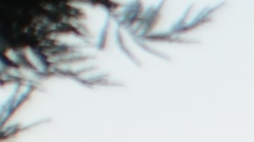 Jonathan García, CEO de Simmitri Solar en San José, California./Cortesía