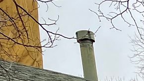 Partes del motor del avión cayeron  en un vecindario de Denver.