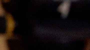 El subsecretario de Prevención y Promoción de la Salud , Hugo López-Gatell.