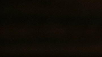 Aumento salario minimo Bernie Sanders Senado