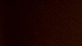 La senadora Patty Murray.