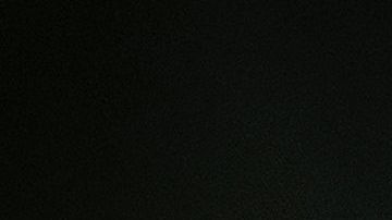 Donald Trump condecorando a Tiger Woods con la Medalla de la Libertad en el 2019.