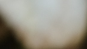 Los niños de 3 y 4 años jugaban en el patio de su casa. Luego desaparecieron. Foto de archivo.