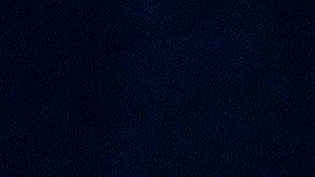 Pastor Guillermo Maldonado y Trump