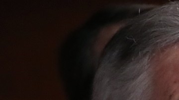 Los demócratas en el Congreso continúan en la integración del paquete de estímulo.