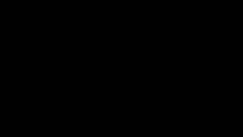 El expresidente Trump es acusado de "incitar a la insurrección".