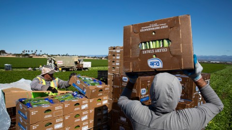 Cuánto_podrían_aumentar_las_prestaciones_de_Seguridad_Social_con_un_aumento_al_salario_mínimo_de_$15_dólares_GettyImages-1208436550.jpg